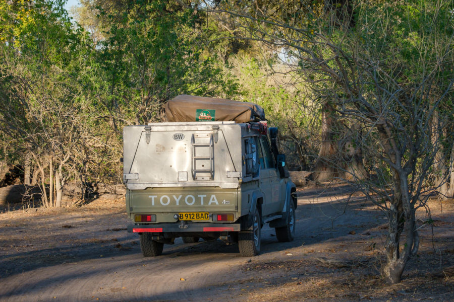 10.9.2019 - Linyanti, Game Drive