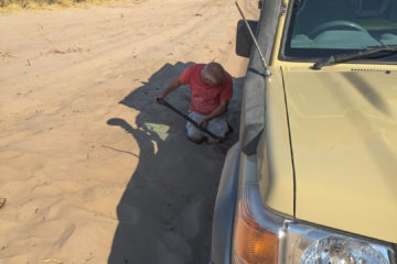 12.9.2019 - Linyanti-Ghoha Road, Sand Digging :-(