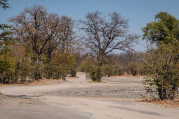 12.9.2019 - Ghoha-Kachikau Road