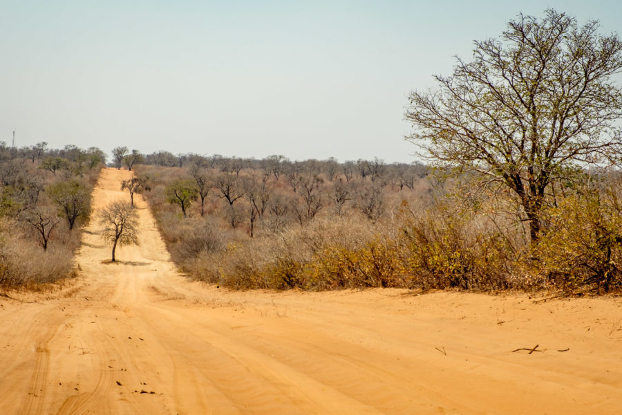 12.9.2019 - Ghoha-Kachikau Road