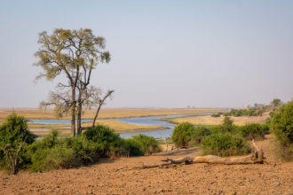 12.9.2019 - Chobe Riverfront