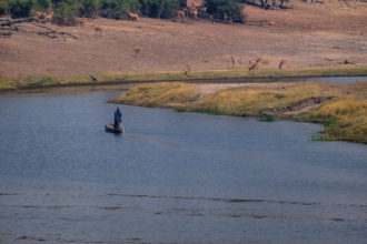 13.9.2019 - Chobe Riverfront - Fischer, Red Lechwe