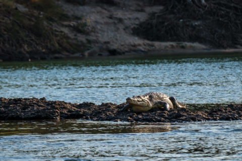 14.9.2019 - Sambesi, Sunset Boat Tour