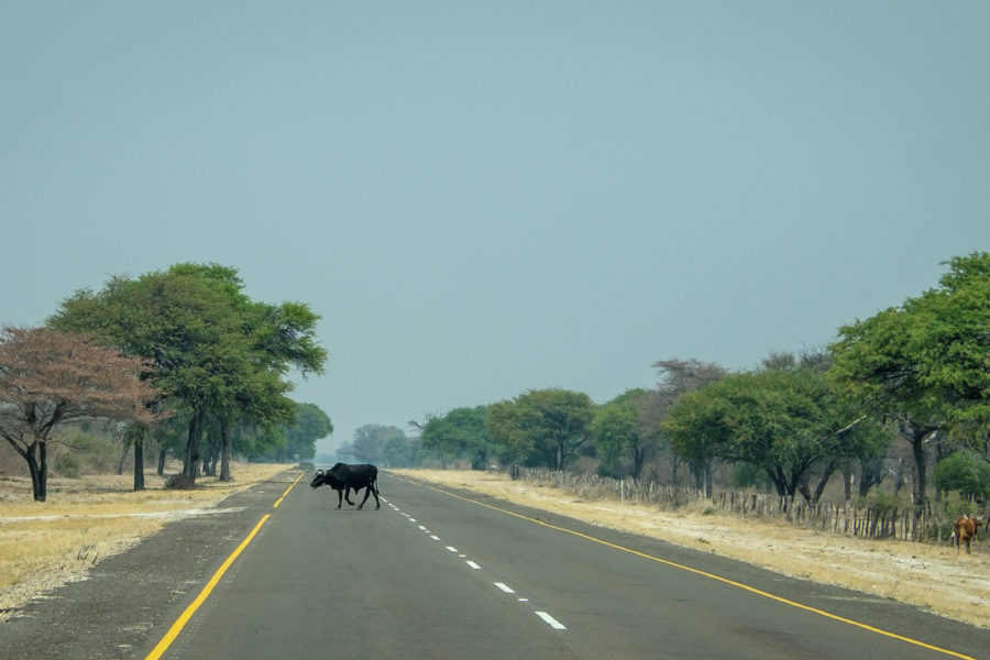 15.9.2019 - Katima -> Livingstone's Camp