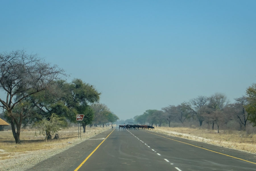 15.9.2019 - Katima -> Livingstone's Camp