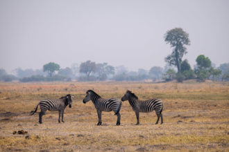 16.9.2019 - Nkasa Rupara NP