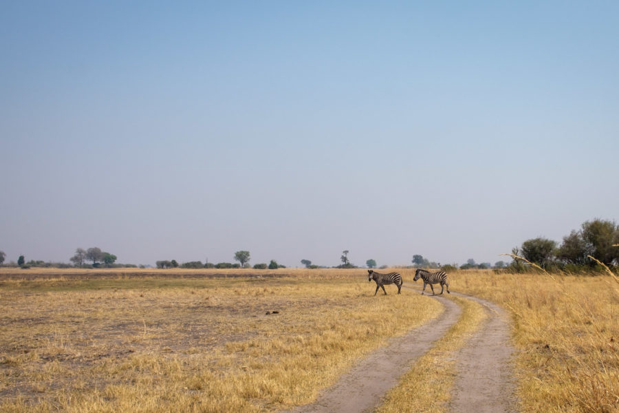 16.9.2019 - Nkasa Rupara NP