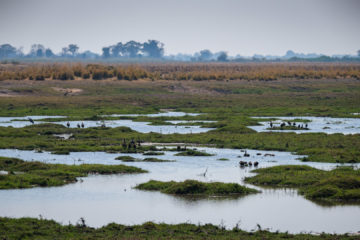 17.9.2019 - Buffalo Core Area, Picknick