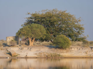 18.9.2019 - RiverDance, Sunrise Boat Tour