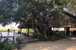 19.9.2019 - Drotsky&#039;s Camp