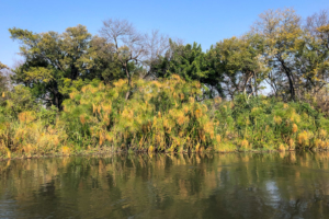 21.9.2019 - Xaro Lodge, Boat Tour