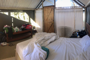 23.9.2019 - Old Bridge, Tent 5