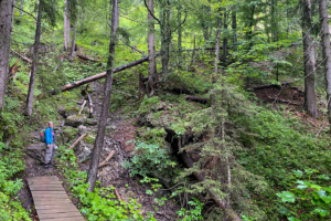 17.7.2020 - Wanderung zur Tuftlalm (Regen)