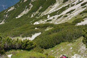 19.7.2020 - Wanderung zum Höllkopf