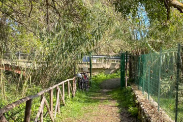 20.10.2020 - Riserva Fiume Ciane: Fahrradparkplatz