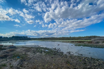 20.10.2020 - Salina di Siracusa