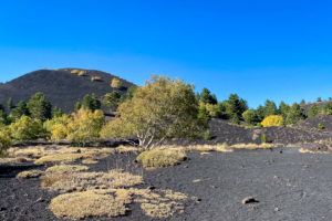 22.10.2020 - Wanderung Monte Sartorius