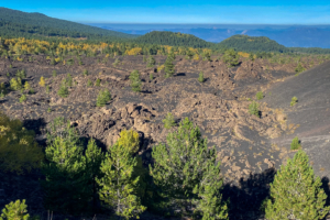 22.10.2020 - Wanderung Monte Sartorius