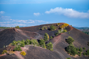 22.10.2020 - Wanderung Monte Sartorius
