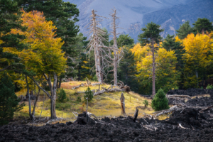 25.10.2020 - Fahrt nach Lipari. Etna Nord