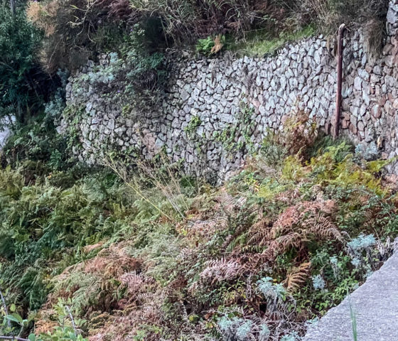 30.10.2020 - Giro di Lipari, wir kämpfen uns den Komoot-„Weg" hinab