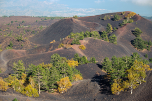 22.10.2020 - Wanderung Monte Sartorius