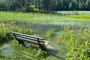 19.7.2021 - Marienberg - Nassereither Alm. Weißensee.