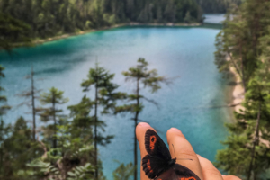 22.7.2021 - Seenwanderung, Blindsee. Mohrenfalter