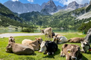 23.7.2021 - Ehrwald - Coburger Hütte