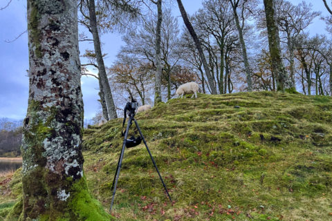 2.11.2021 - Kilchurn Castle, Loch Awe