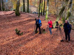 3.11.2021 - The Birks of Aberfeldy