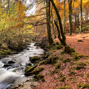 2021 Schottland – Aberfeldy, Kenmore 2021 Schottland – Aberfeldy, Kenmore