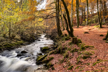 3.11.2021 - The Birks of Aberfeldy