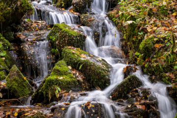 3.11.2021 - The Birks of Aberfeldy