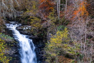 3.11.2021 - The Birks of Aberfeldy