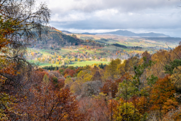 3.11.2021 - The Birks of Aberfeldy