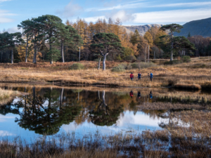 4.11.2021 - Loch Tulla