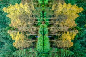 4.11.2021 - Glencoe Lochan - Rorschach ;-)