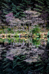 4.11.2021 - Glencoe Lochan