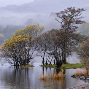 2021 Schottland – Milarrochy Bay, Loch Lomond 2021 Schottland – Milarrochy Bay, Loch Lomond