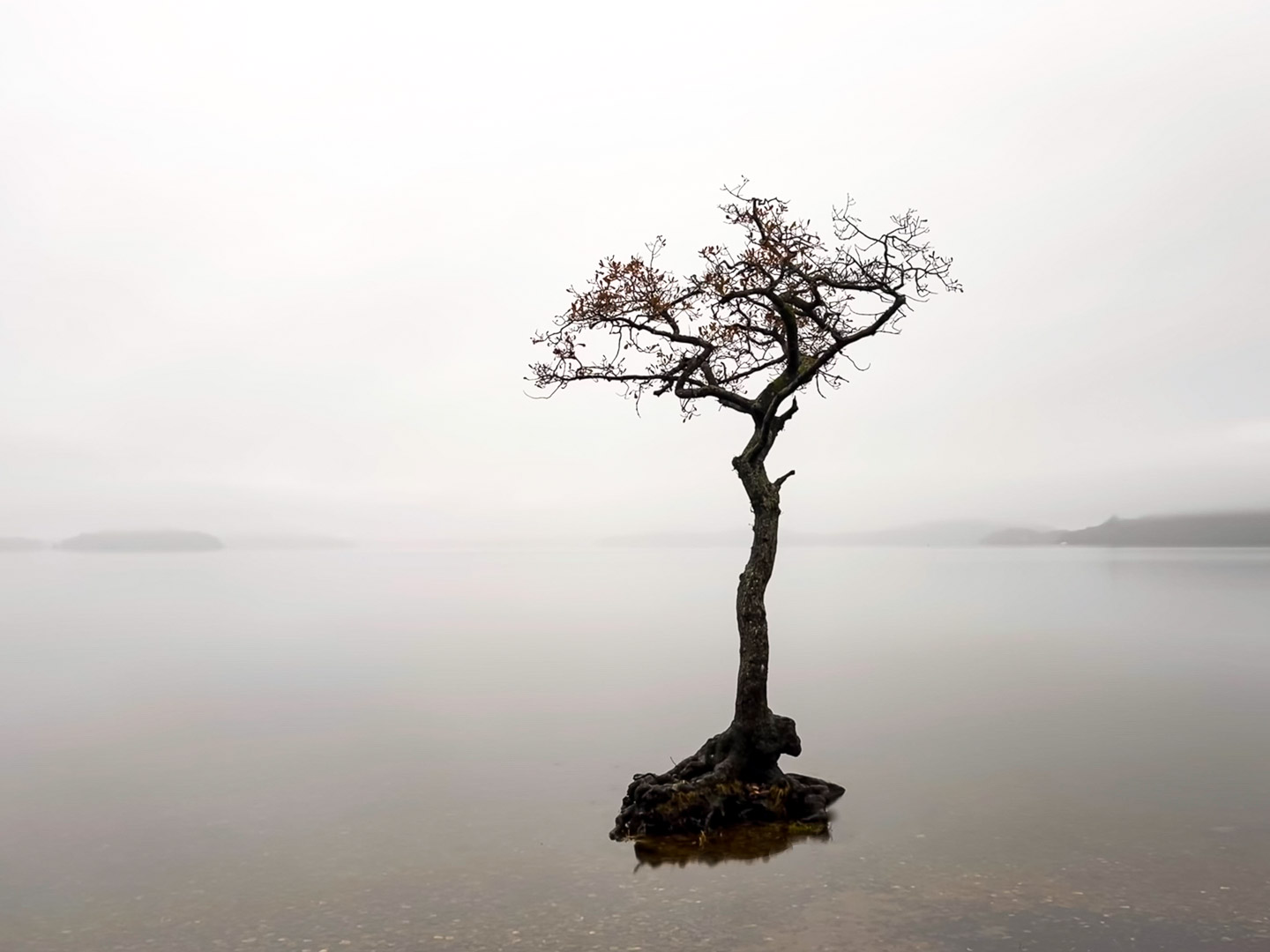 8.11.2021 - Milarrochy Bay, Loch Lomond, photoshopped ;-)