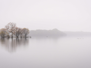 8.11.2021 - Milarrochy Bay, Loch Lomond