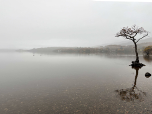 8.11.2021 - Milarrochy Bay, Loch Lomond