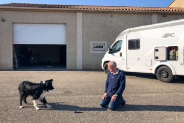 24.3.2022 - Crau Loisirs, der Hund des Womo-Händlers