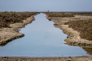 24.3.2022 - Salins de Midi