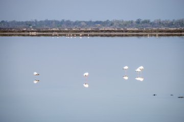 24.3.2022 - Salins de Midi