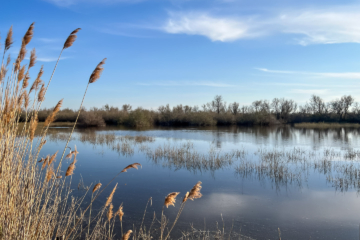 24.3.2022 - Radtour Canal des Capettes