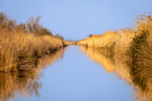 24.3.2022 - Radtour Canal des Capettes