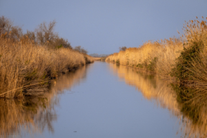 24.3.2022 - Radtour Canal des Capettes