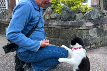 14.6.2022 - der Katzenflüsterer ;-)